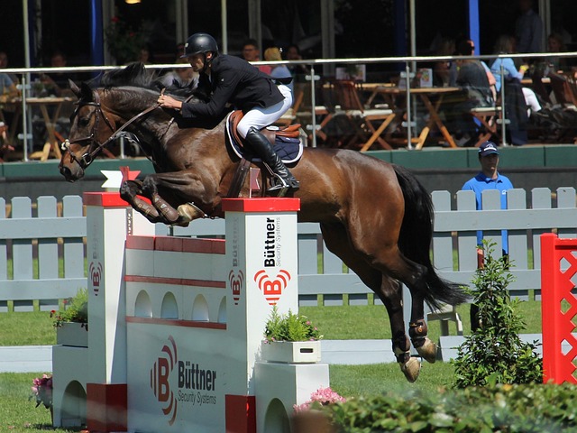 旧将佩内夫患肾癌需要手术，瓦伦西亚为其筹款